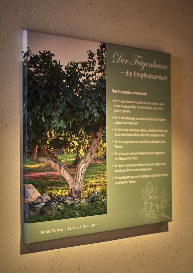 Zedernhof Gesundheits- & Wellnesshotel Stamsried Εξωτερικό φωτογραφία
